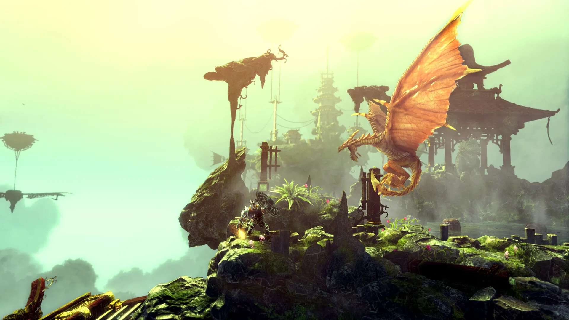 Trine Collection