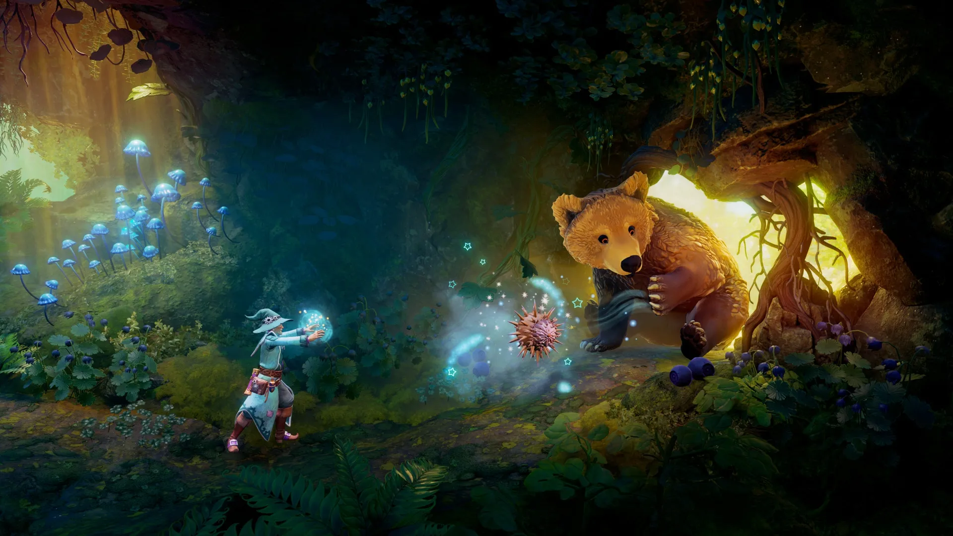 Trine Collection
