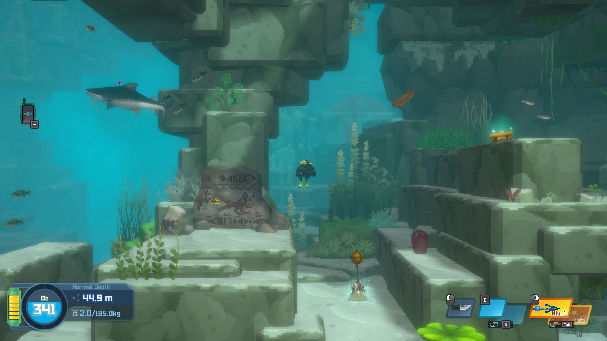 Un énorme poisson-chat sous l'eau dans Dave the Diver In the Jungle