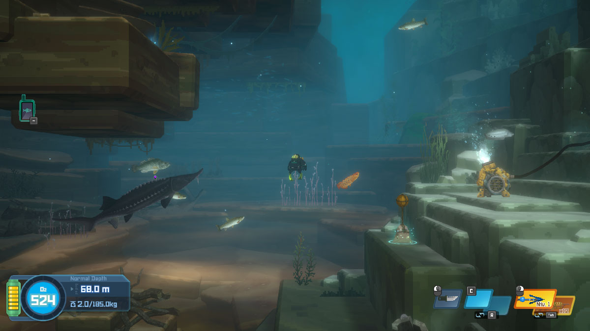 De nouvelles espèces de poissons d'eau douce dans Dave the Diver In the Jungle
