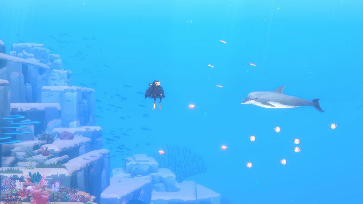 Dave the Diver : Dave in a diving suit, a dolphin comes to meet him in the ocean