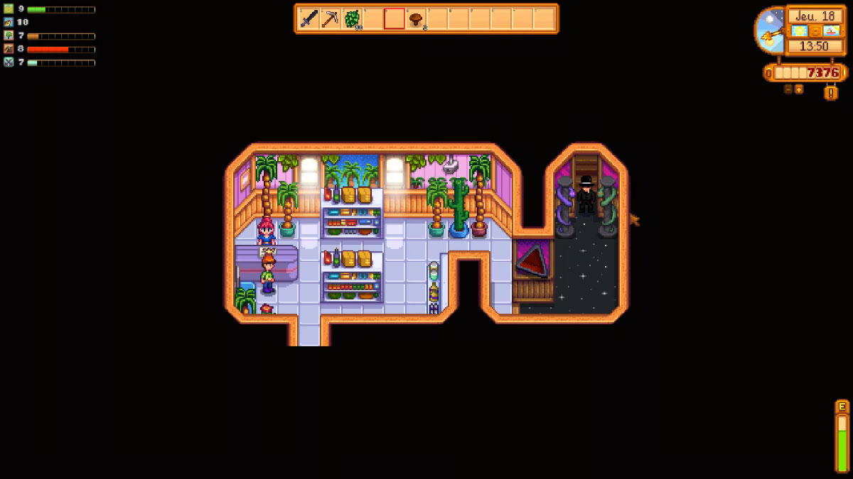 Stardew Valley village de Pelican Town
