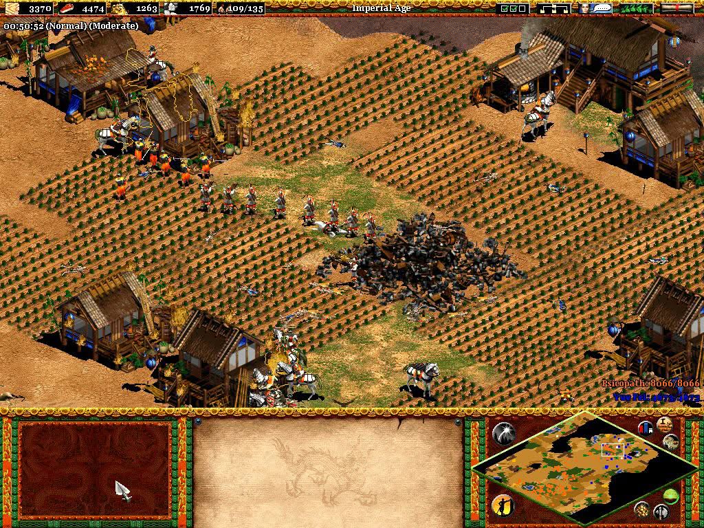 Age of Empires 2 original, destroyed town center reduced to ashes surrounded by farms with dead villagers