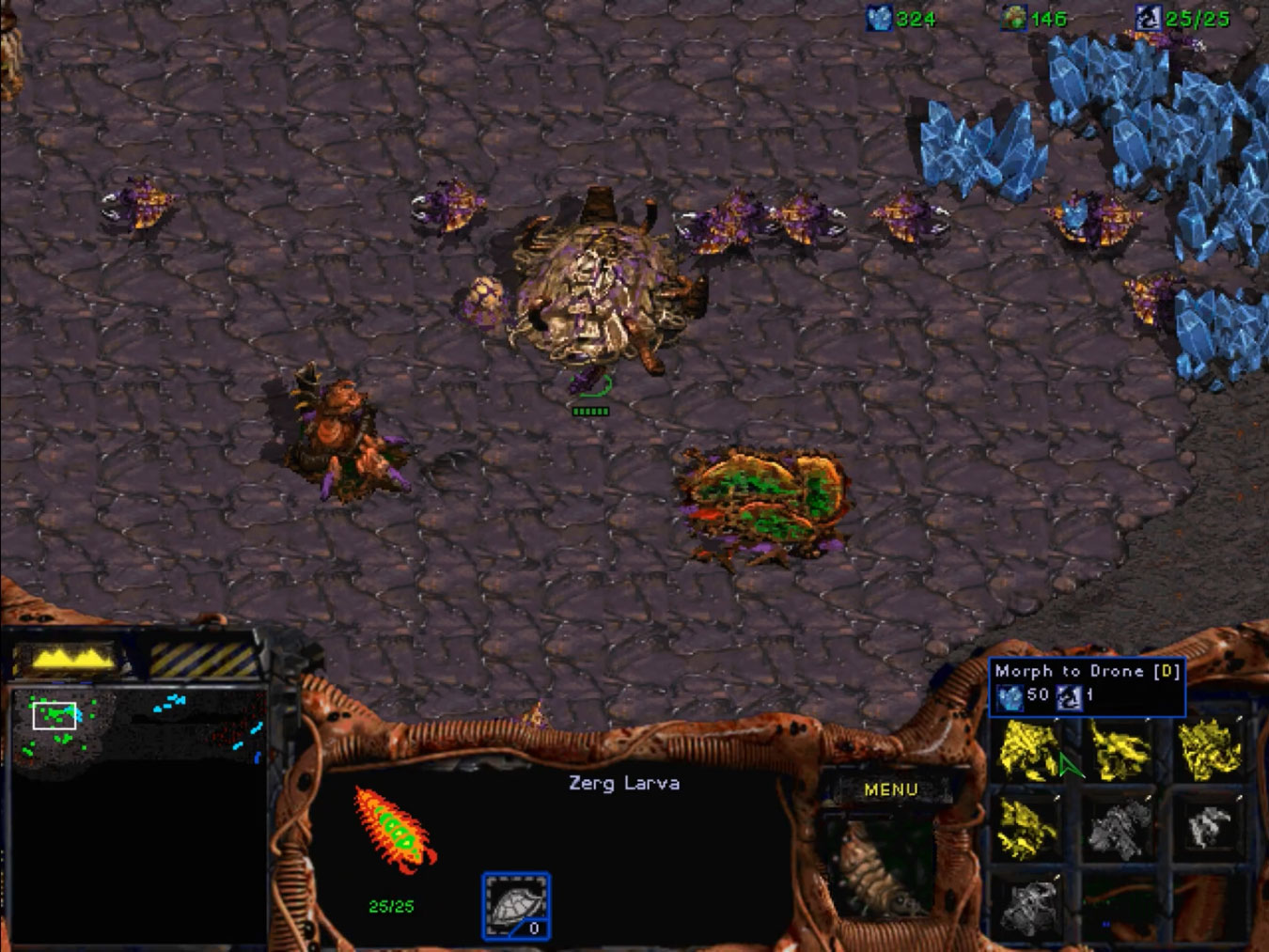 Hatchery Zerg en pleine mutation organique