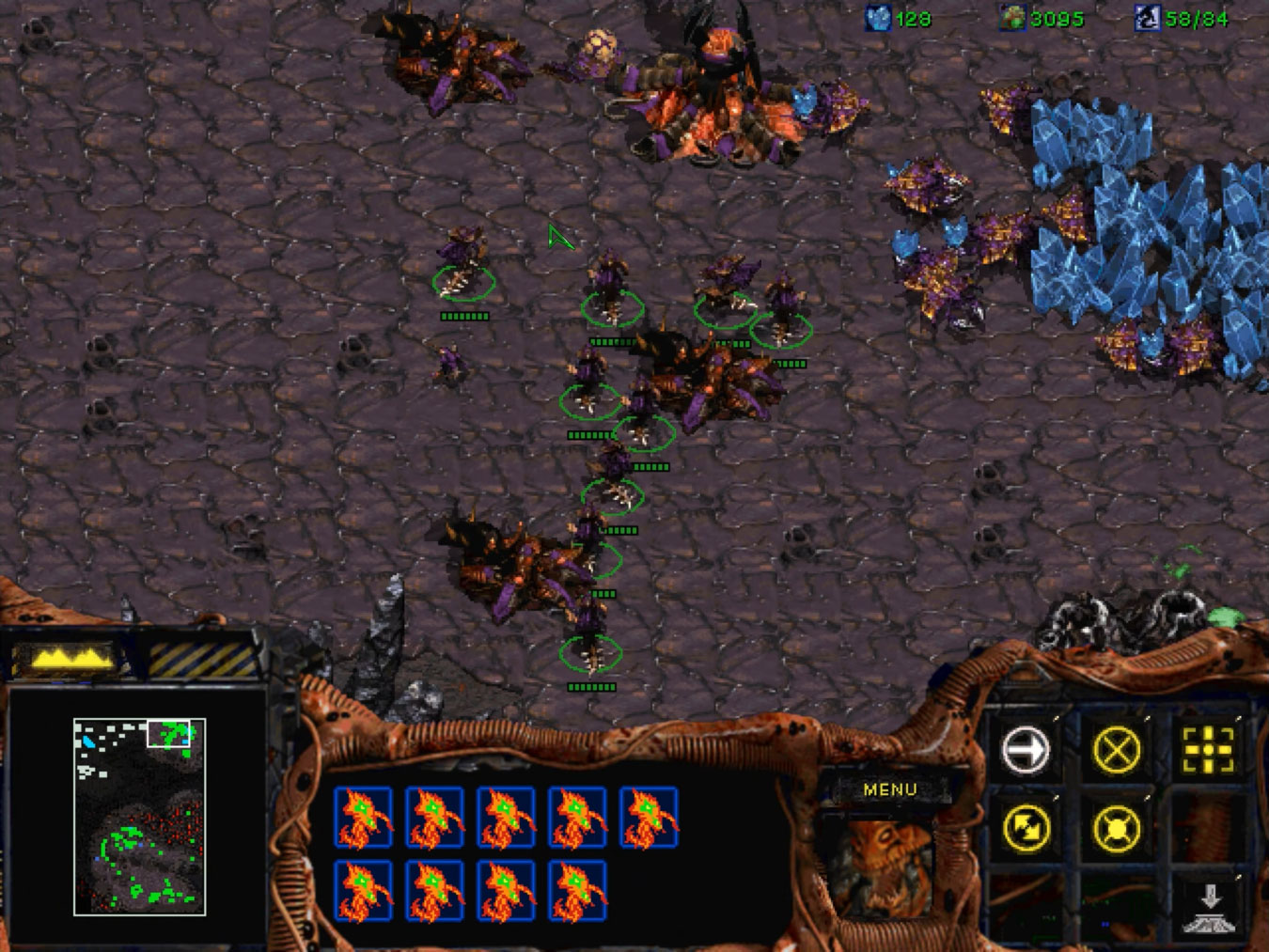 Les Hydralisks Zerg en plein rassemblement
